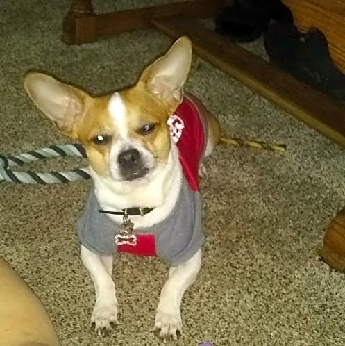 Photo of Hurky