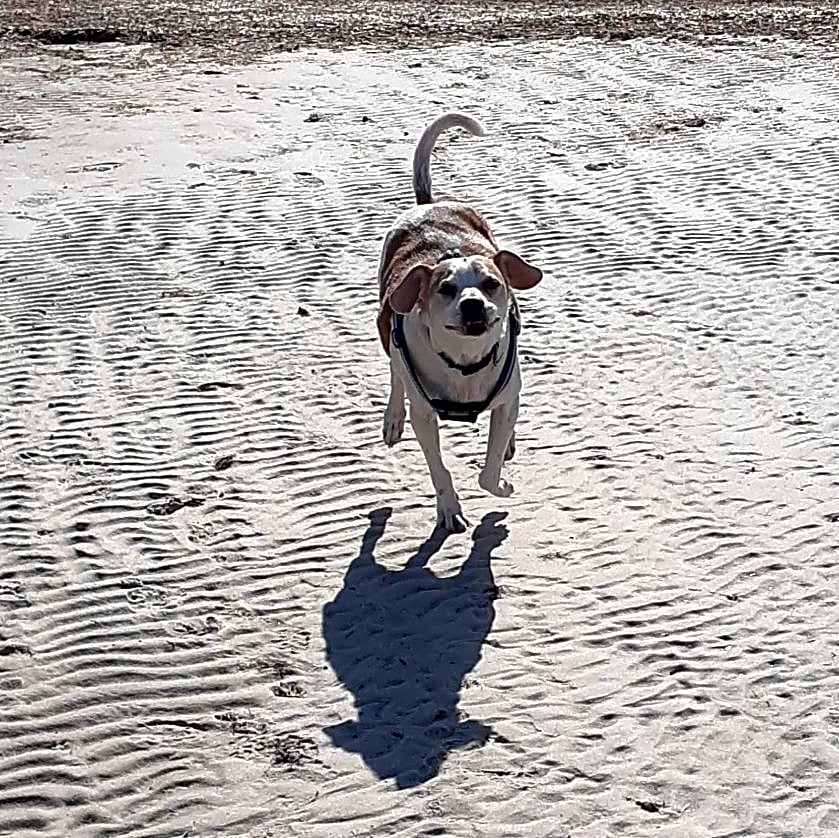 Photo of Jax