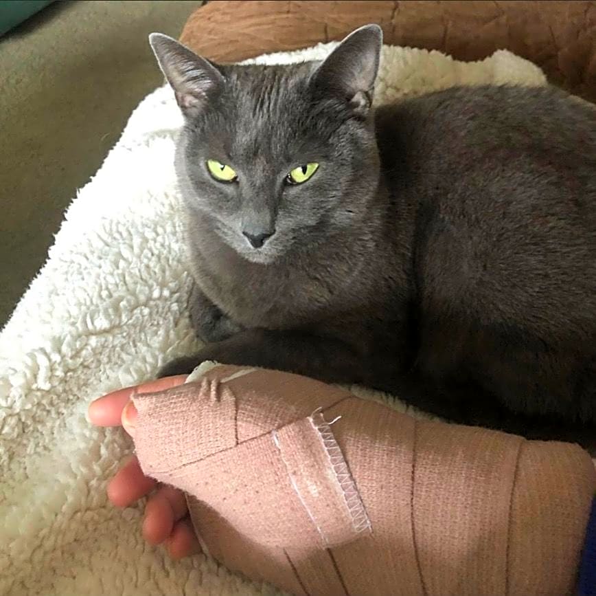 Photo of Cleo