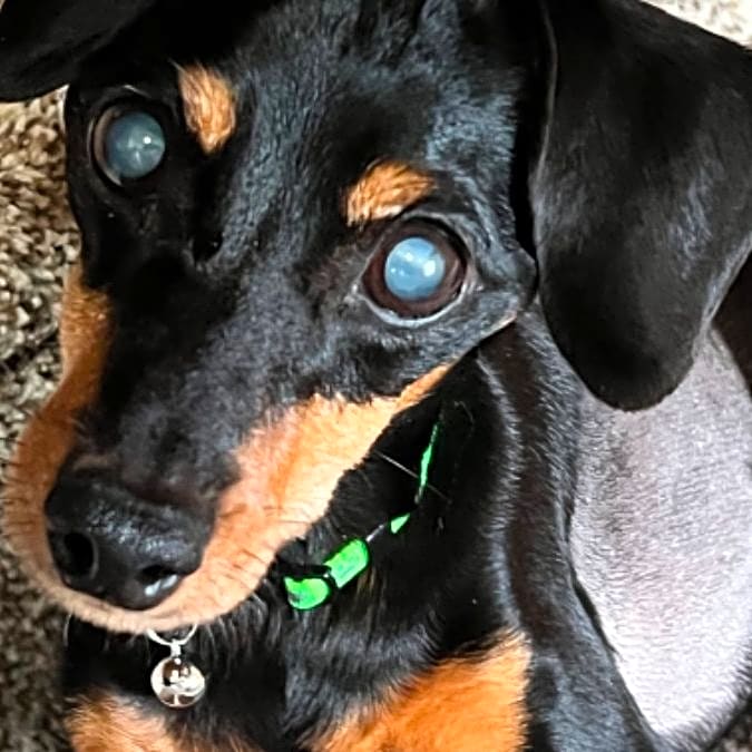 Photo of Zoe