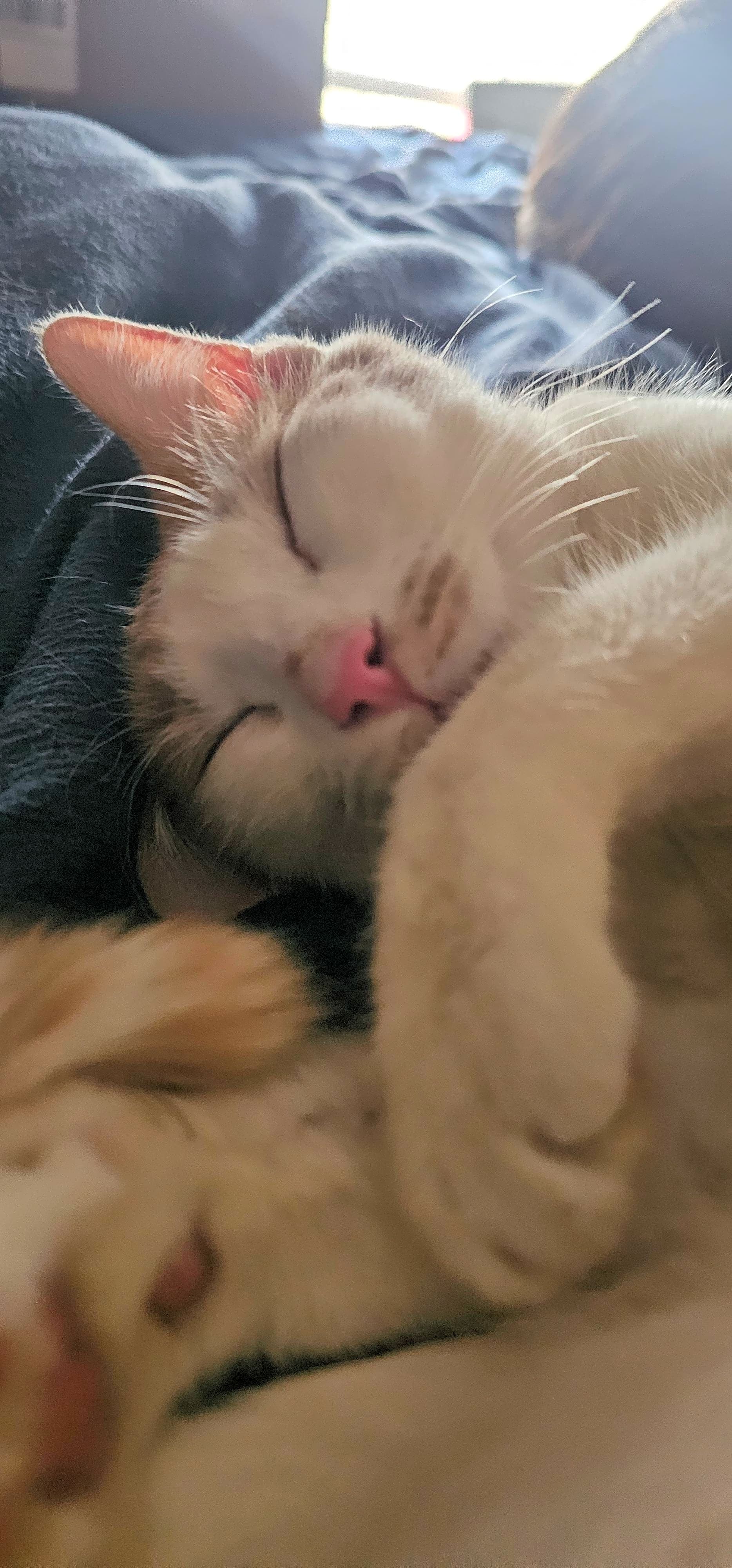 Photo of Lenny