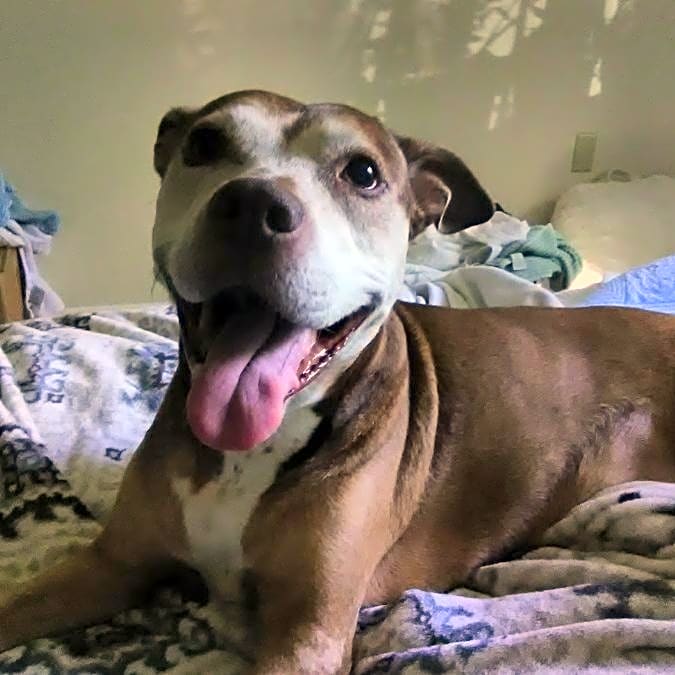 Photo of Roxy