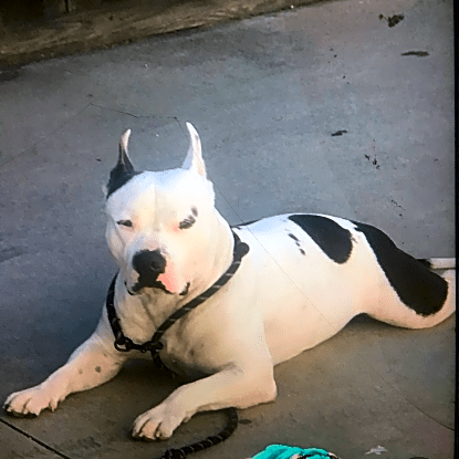 Photo of Lucky boy Luciano