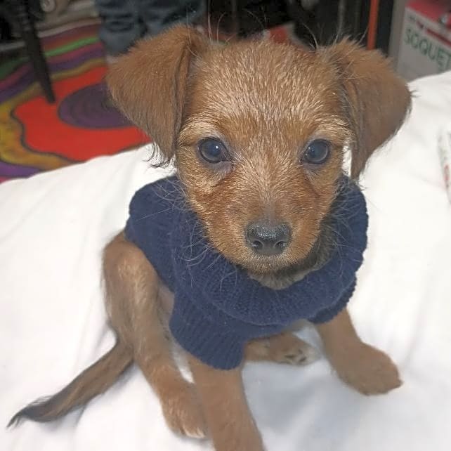 Photo of Baby Boy