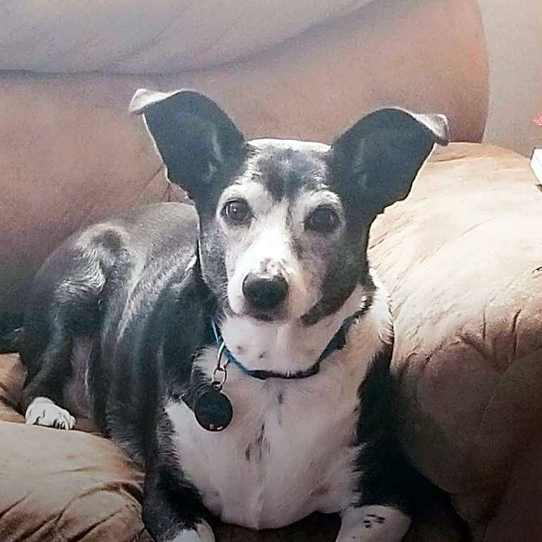 Photo of Katie