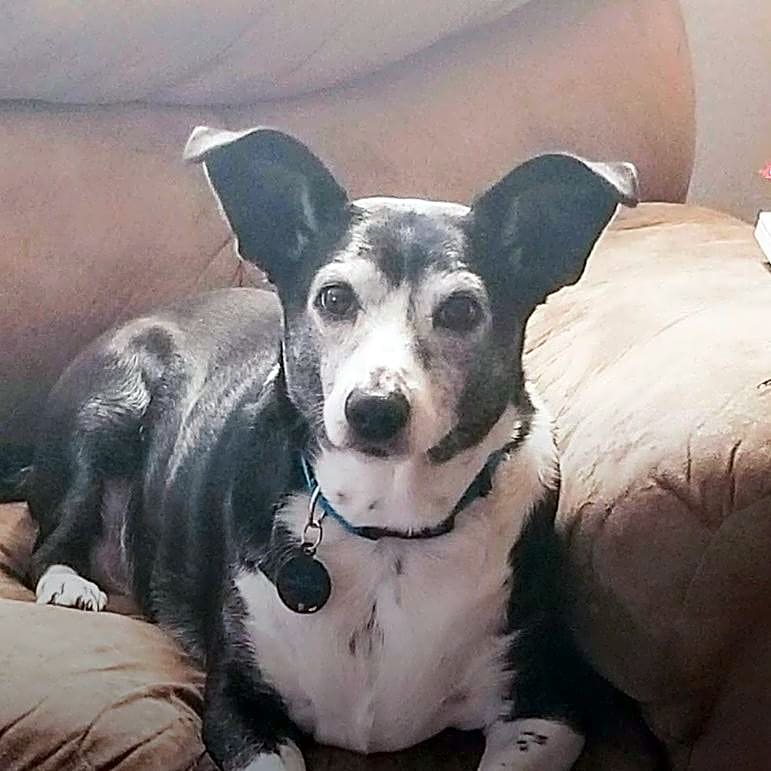 Photo of Katie