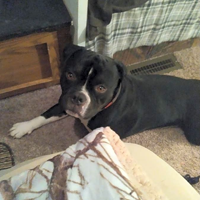 Photo of Zeus
