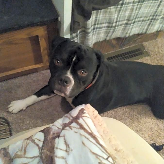 Photo of Zeus