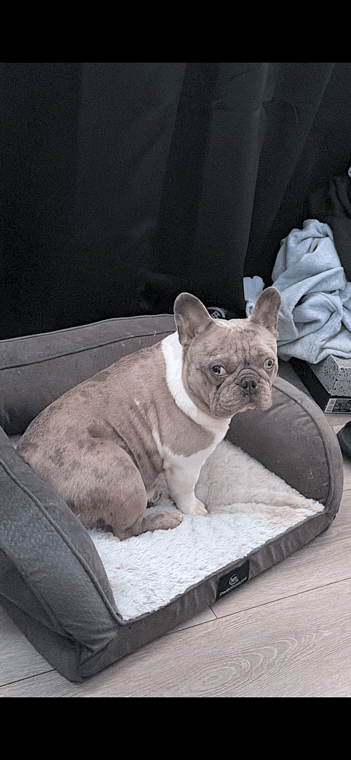 Photo of Morty
