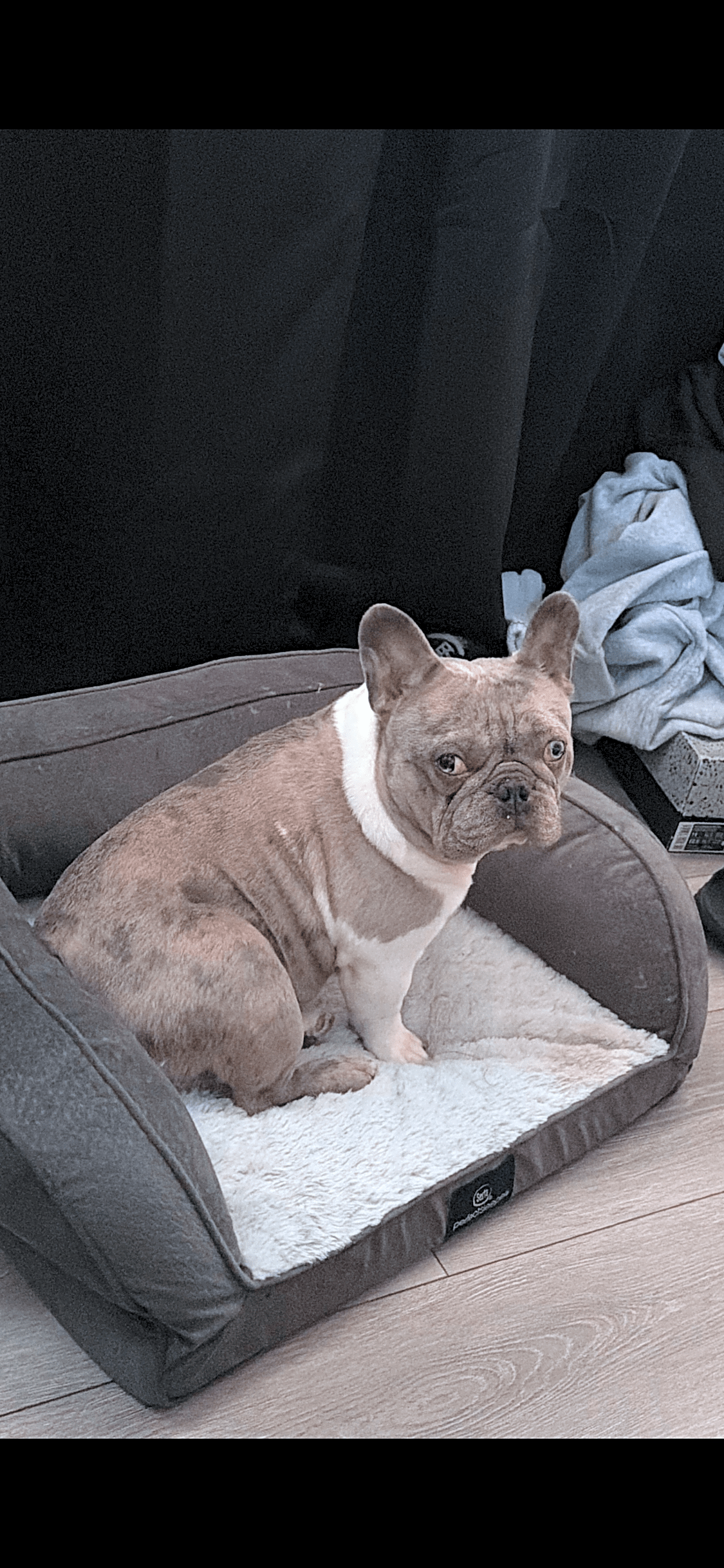 Photo of Morty