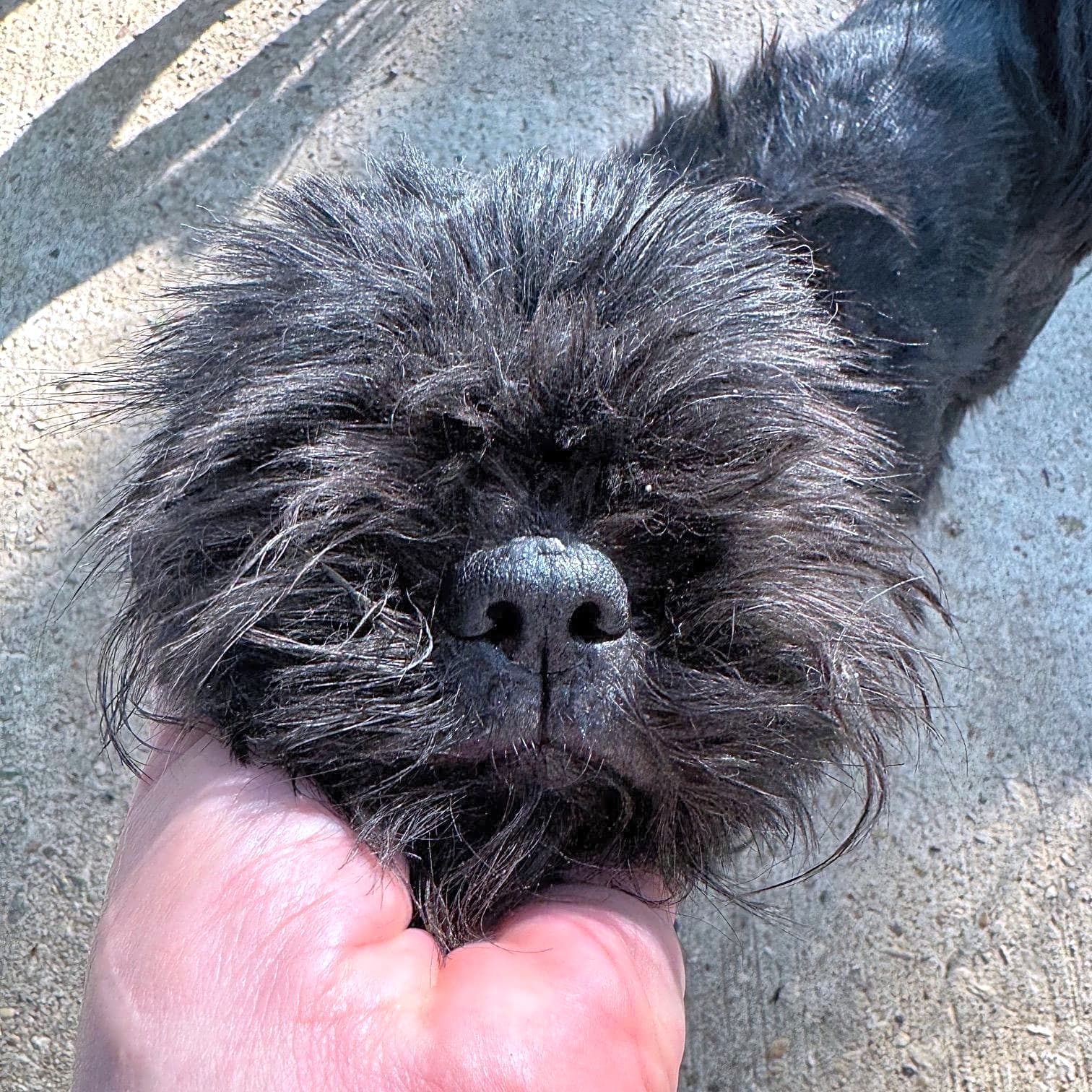 Photo of Scrump