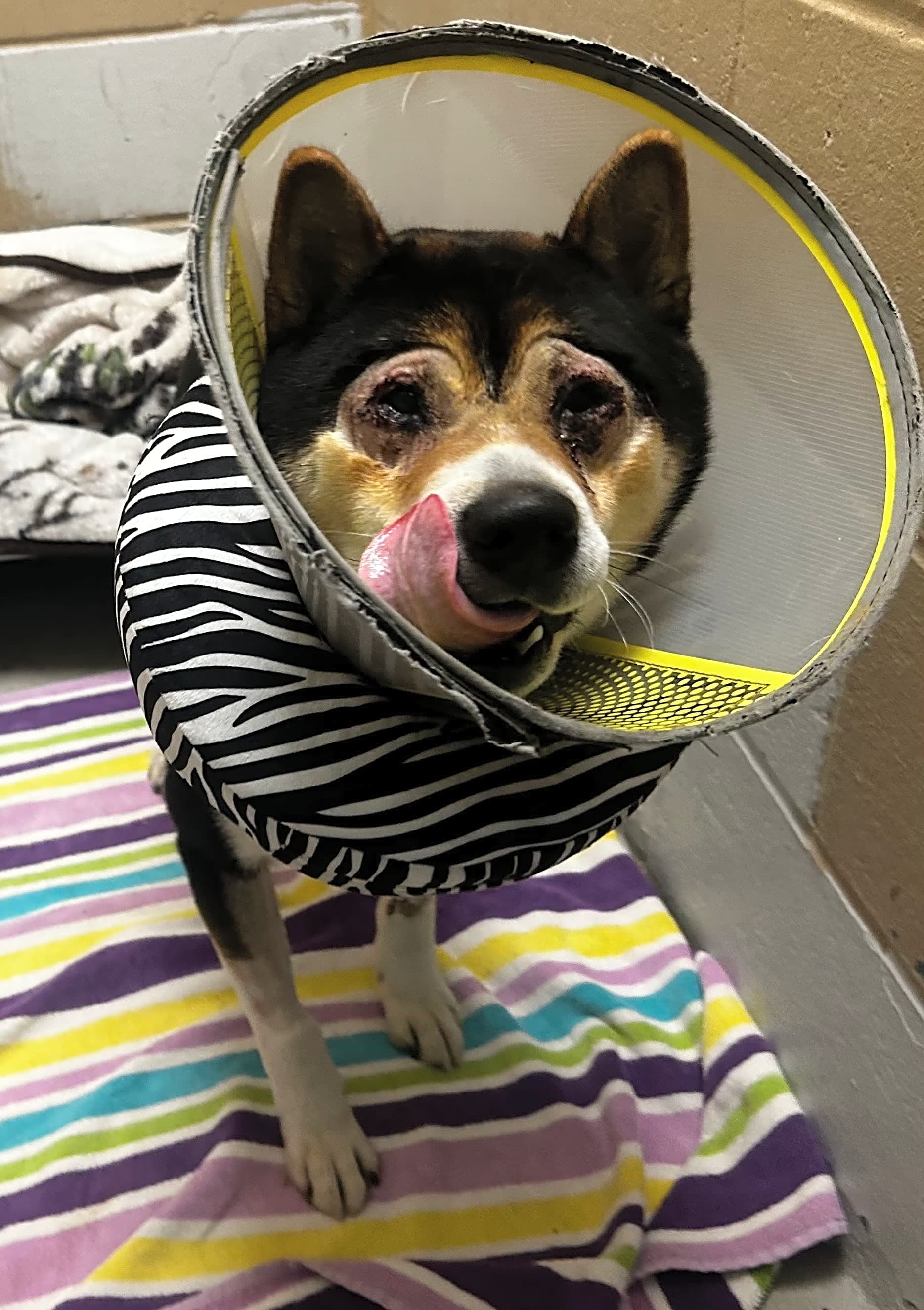 Photo of Happy