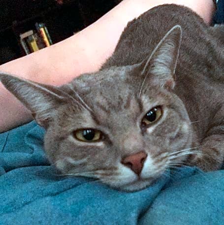 Photo of Luna