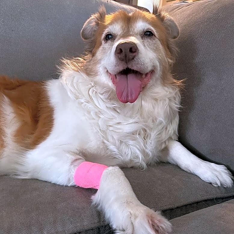 Photo of Molly