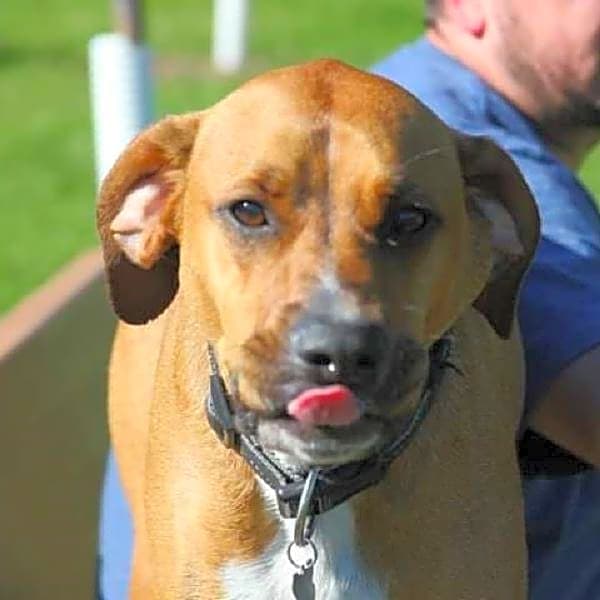 Photo of Loki