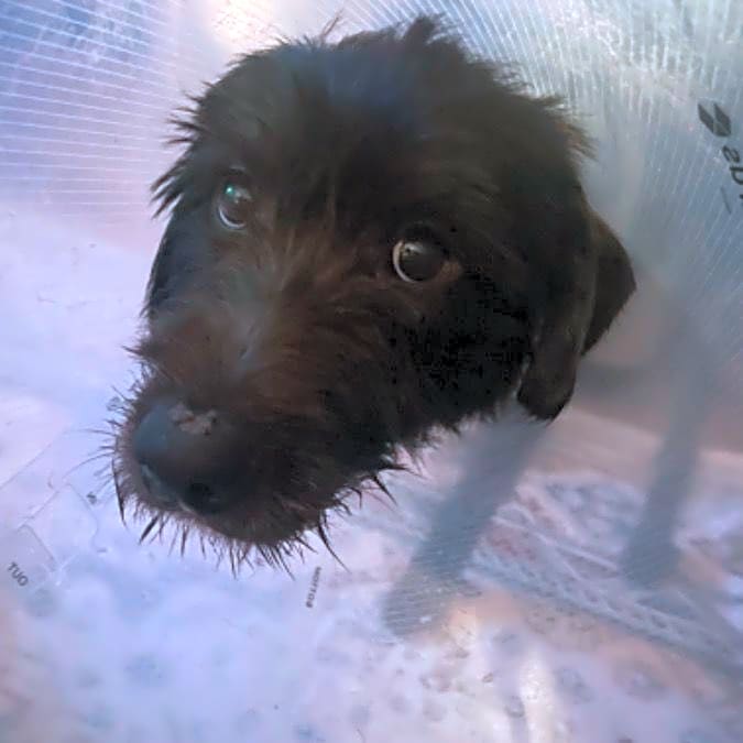 Photo of Elinor
