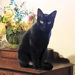 Photo of Aleister