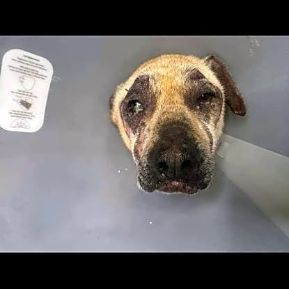 Photo of Hope