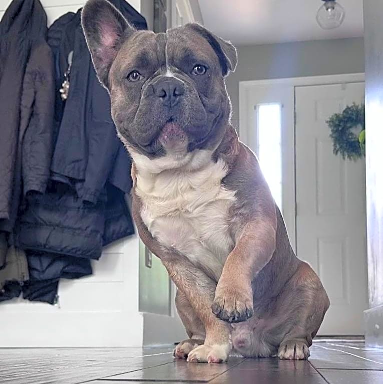 Photo of Maverick