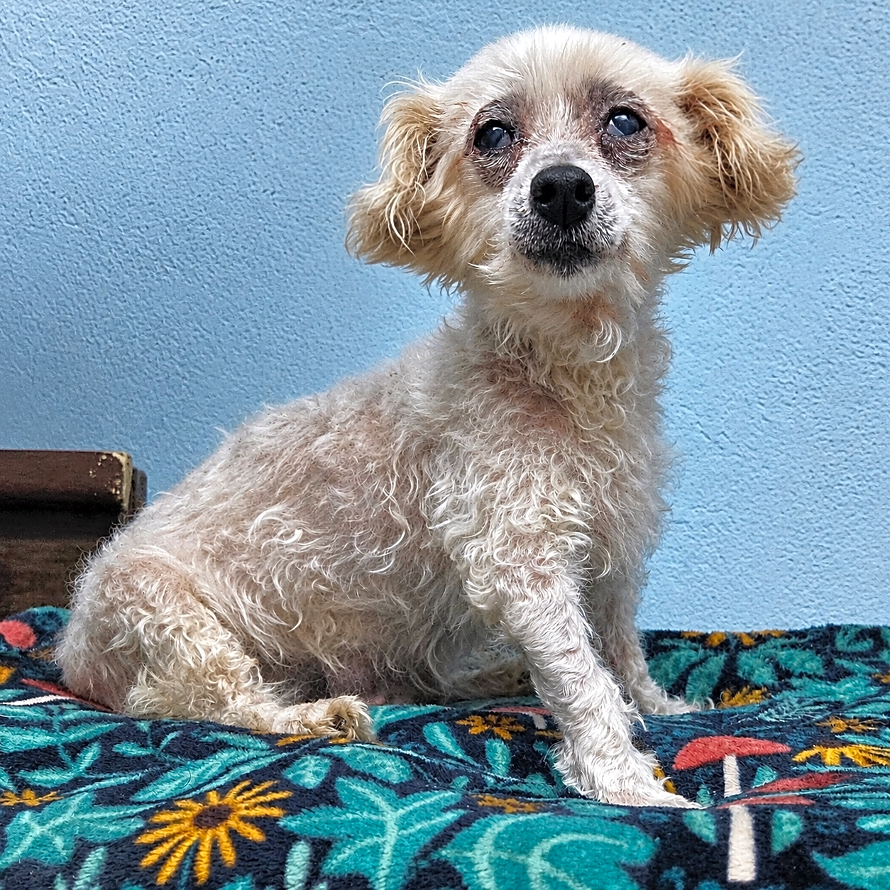 Photo of Dorothy