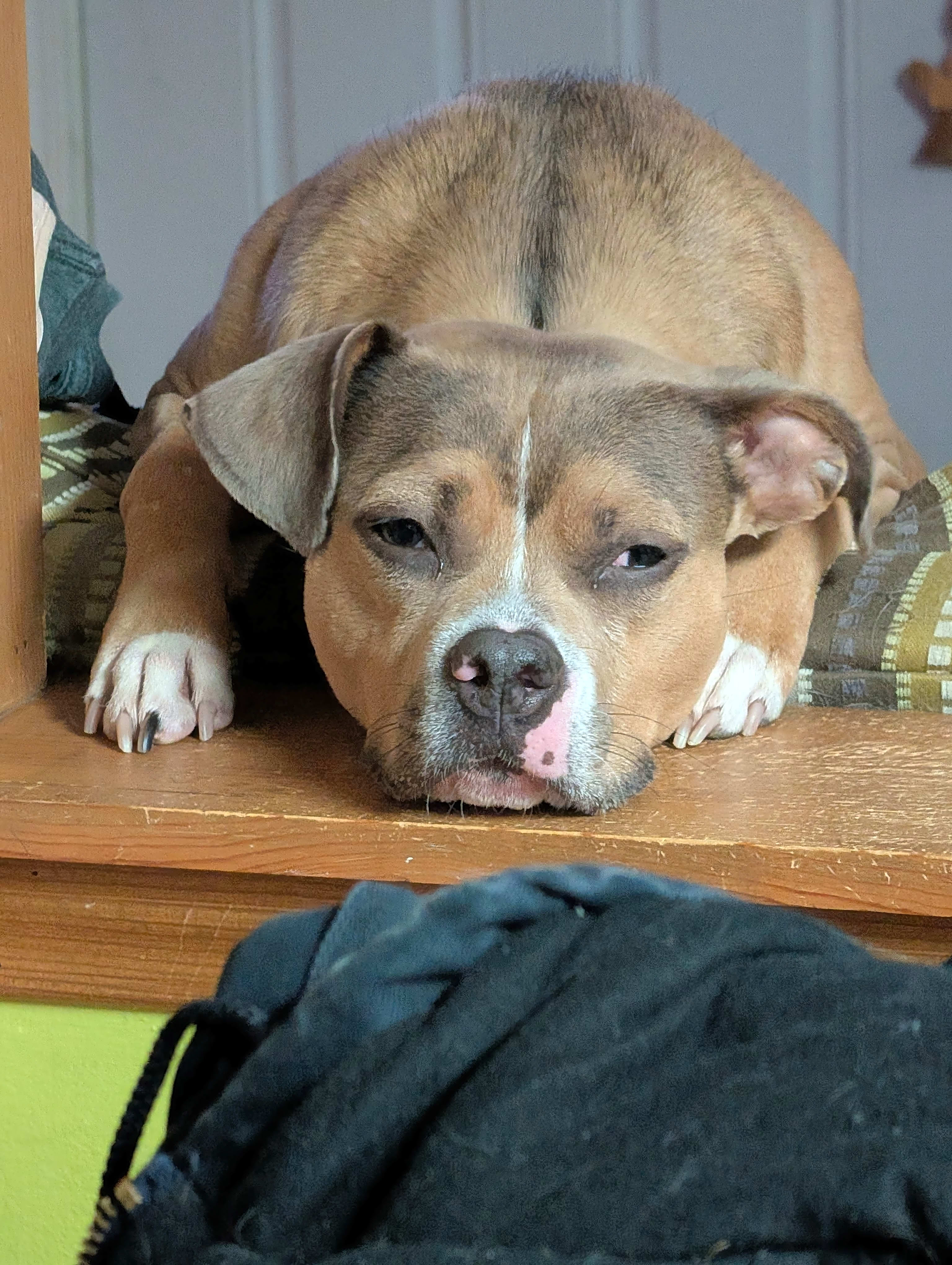 Photo of Athena