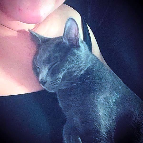 Photo of Ash