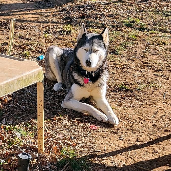 Photo of Nikita