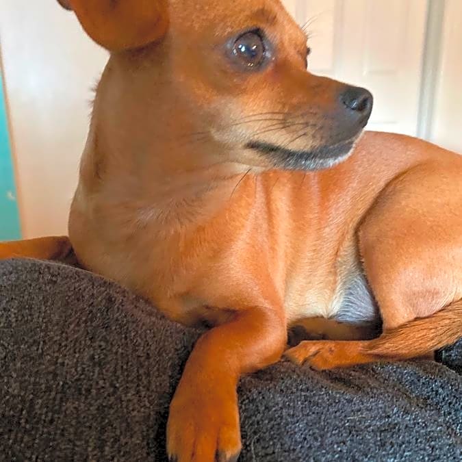 Photo of Lucy