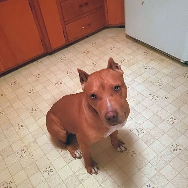 Photo of Thor