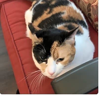 Photo of Molly