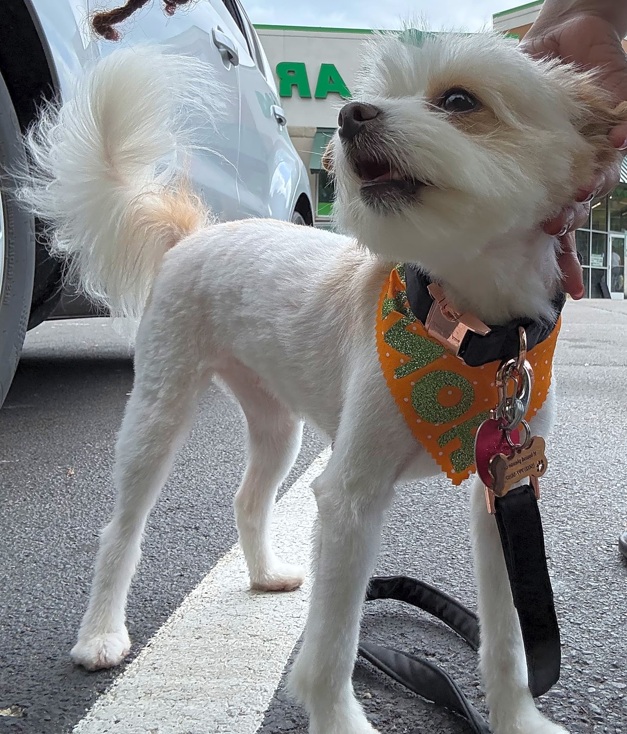 Photo of Honey