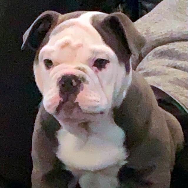 Photo of Kane