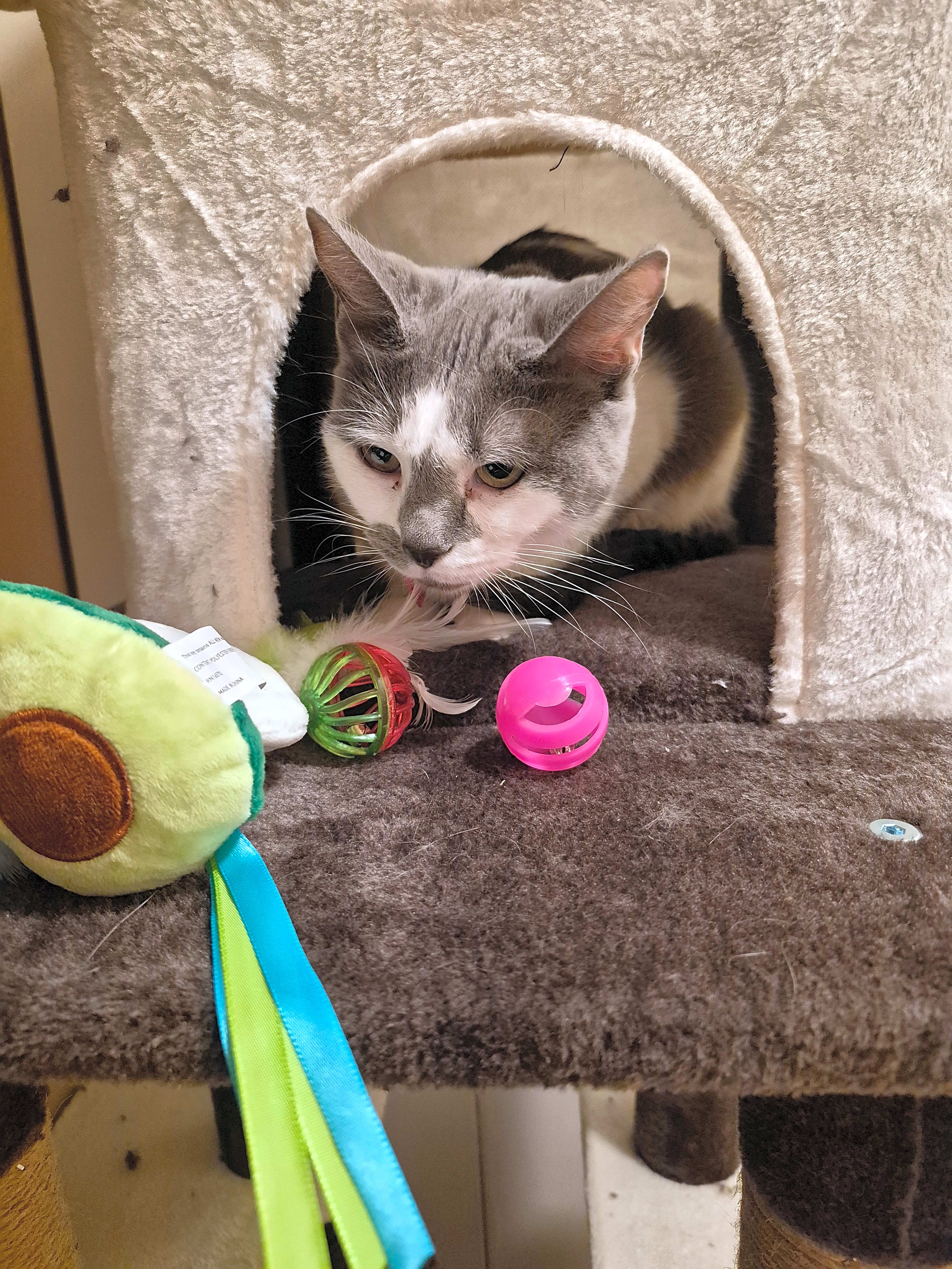 Photo of Dottie