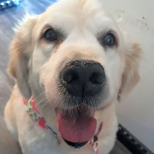 Photo of Daisy Belle