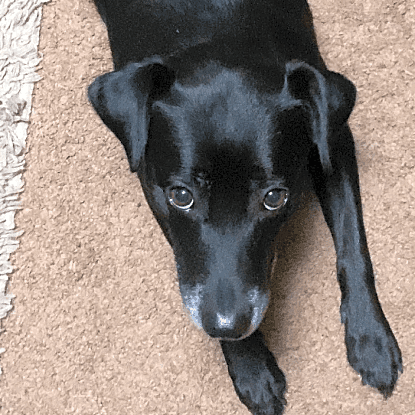 Photo of Athena
