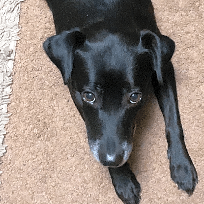 Photo of Athena