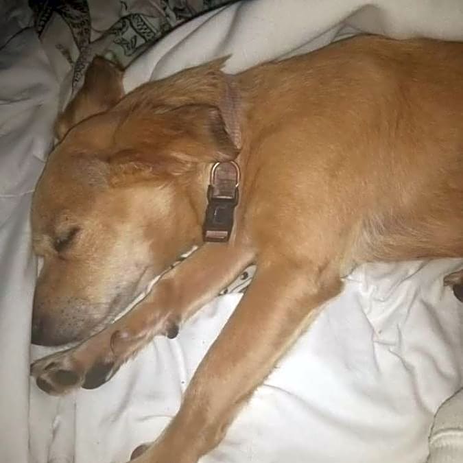 Photo of Coco