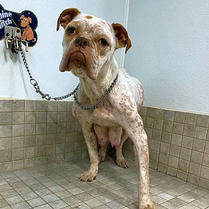 Photo of Malibu