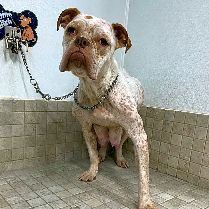 Photo of Malibu