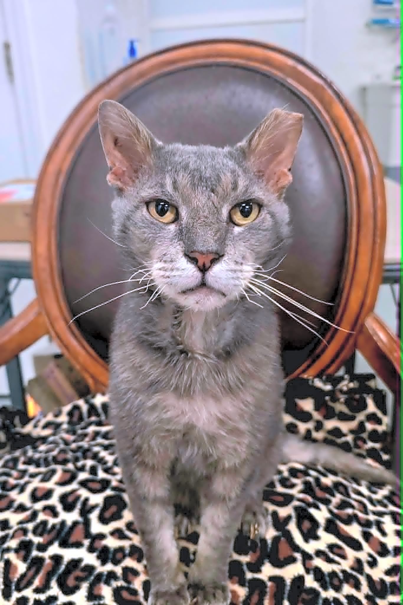 Photo of Tom