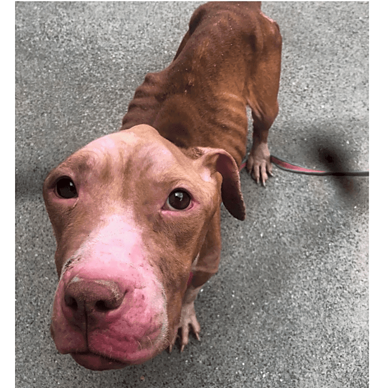 Photo of Maggie