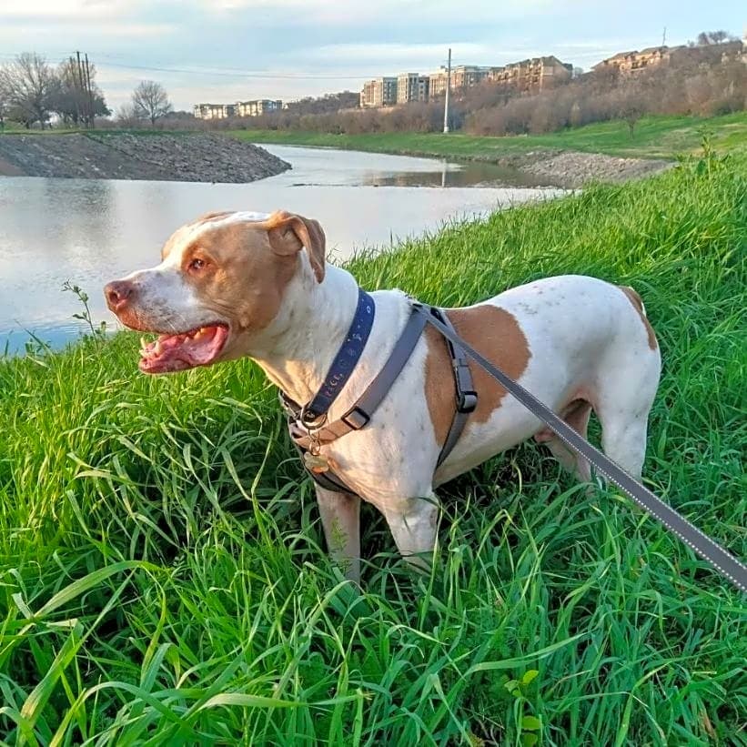 Photo of Titus