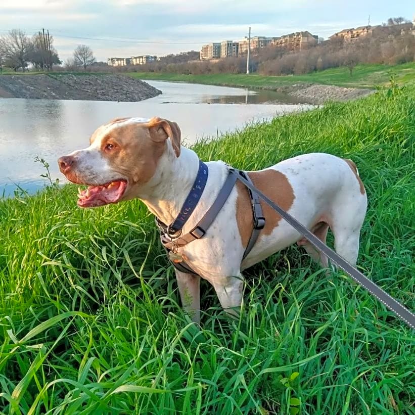 Photo of Titus