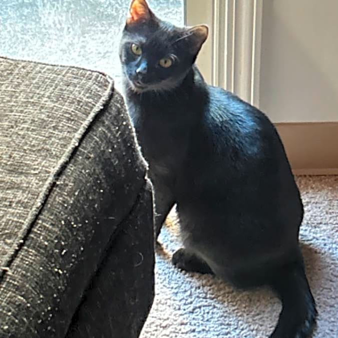 Photo of Reggie