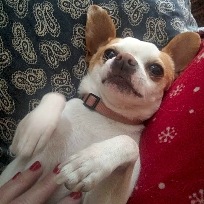 Photo of Ernie
