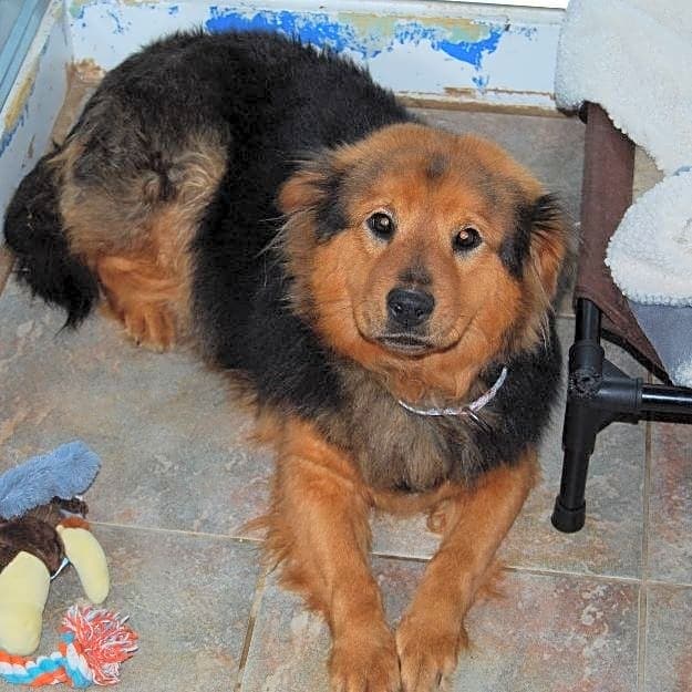Photo of Lucy (Jade KKAR)
