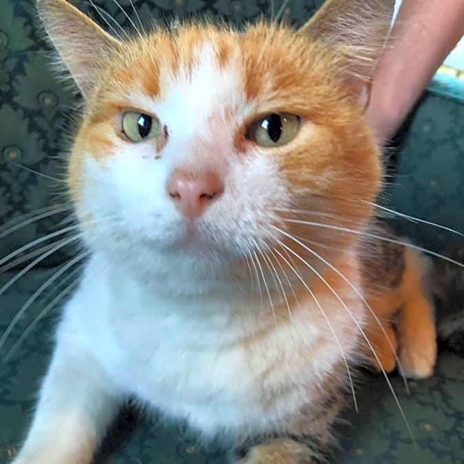 Photo of Sunny