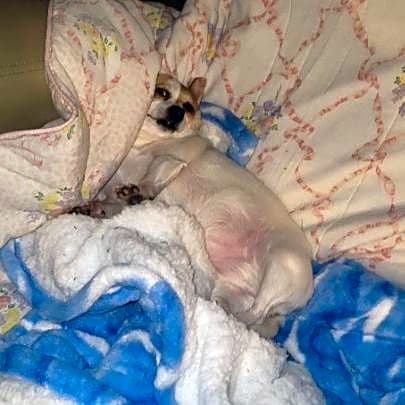 Photo of Chiquita