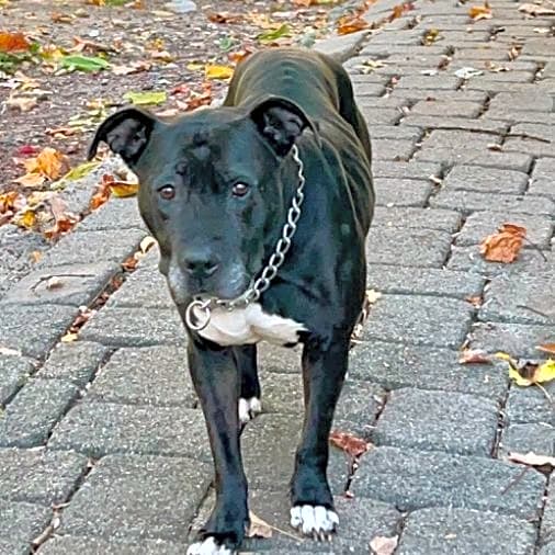 Photo of Storm