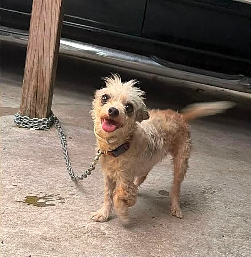 Photo of Peggy